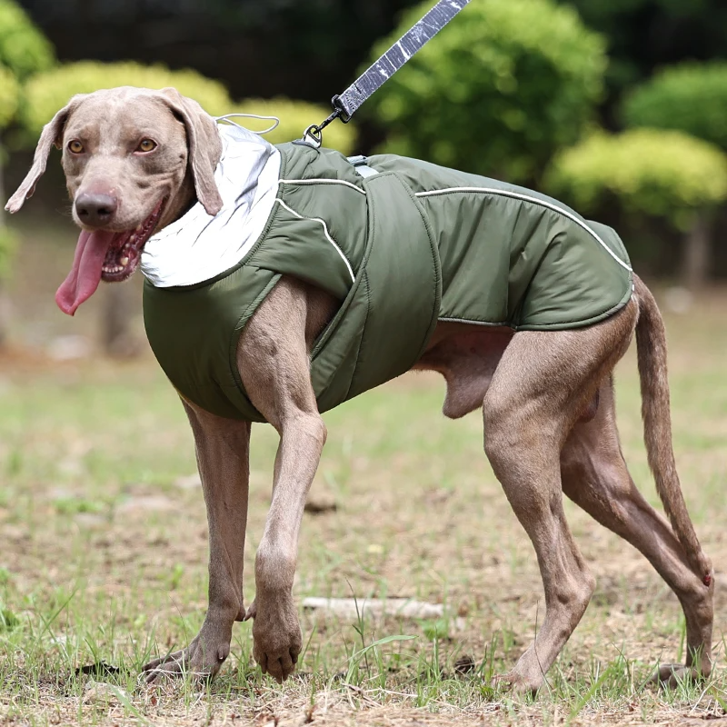 Hunde Luxus Winterjacke