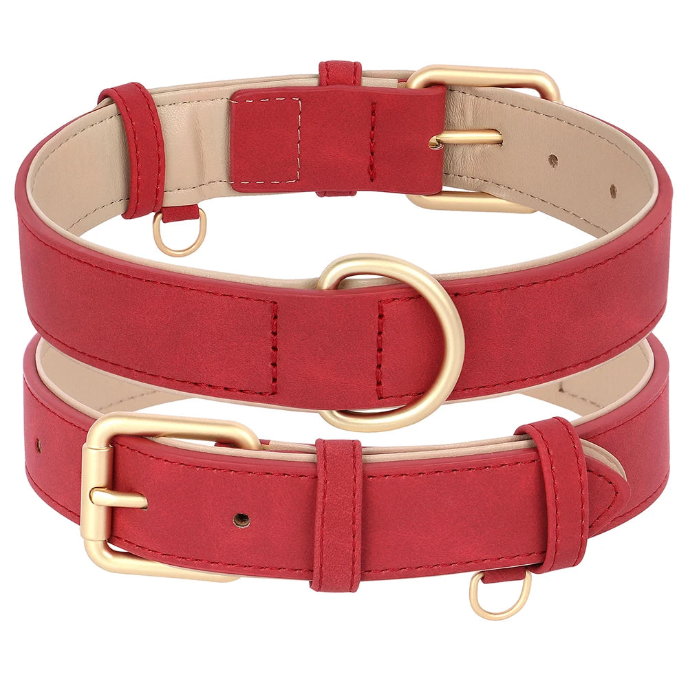 Hundehalsband mit Leine Set PU Leder verstellbar