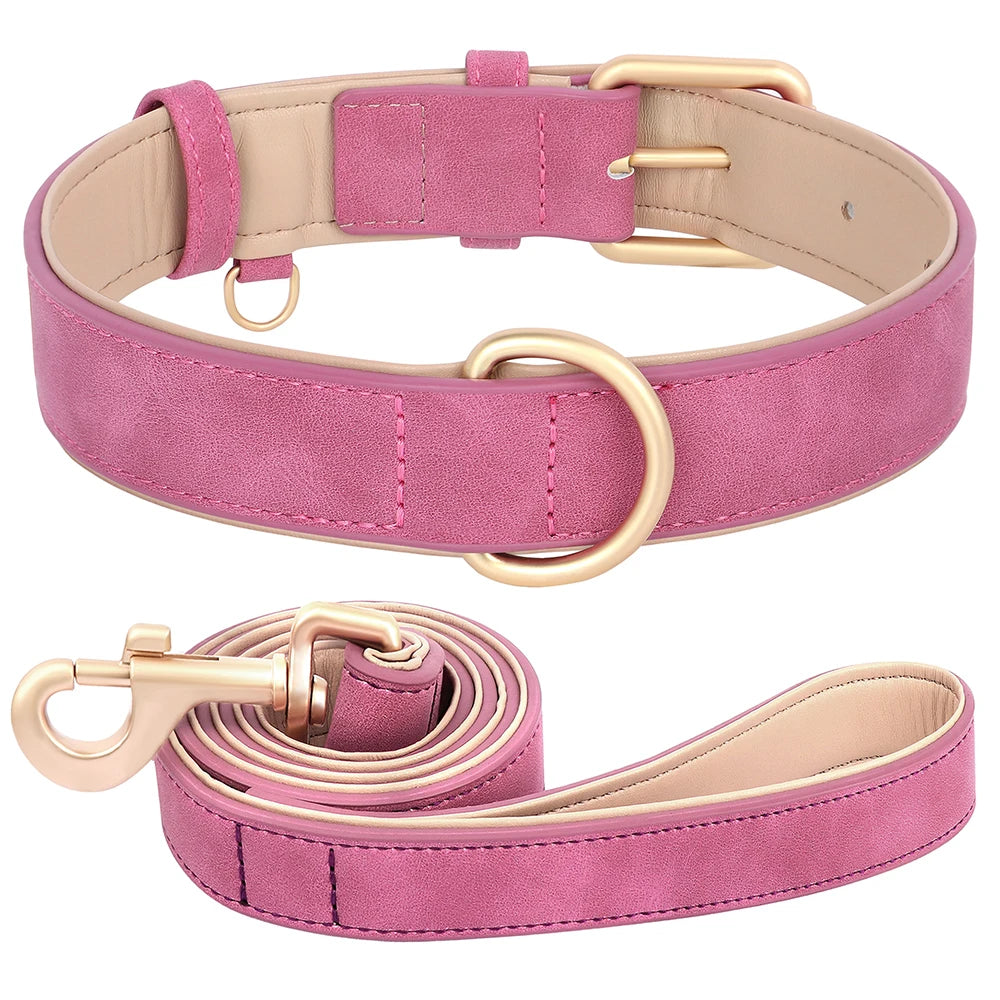 Hundehalsband mit Leine Set PU Leder verstellbar