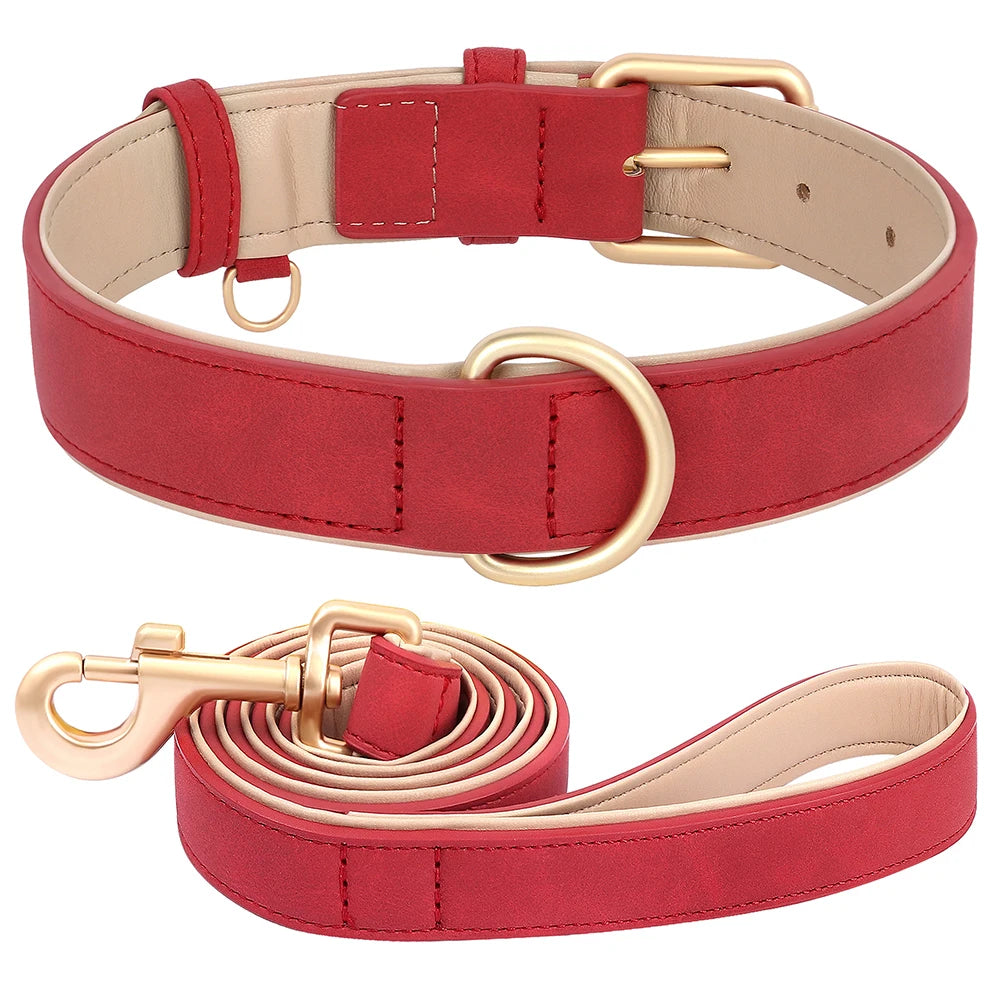 Hundehalsband mit Leine Set PU Leder verstellbar