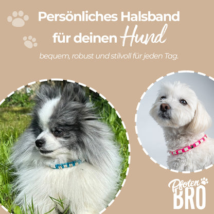 EM-Keramik Hundehalsband MINIMAL
