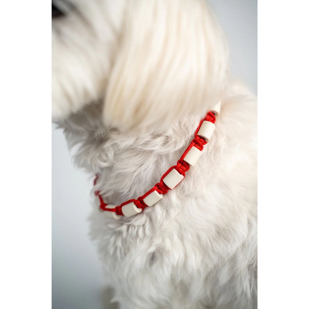 EM-Keramik Hundehalsband BASIC