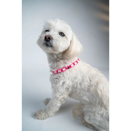 EM-Keramik Hundehalsband BASIC