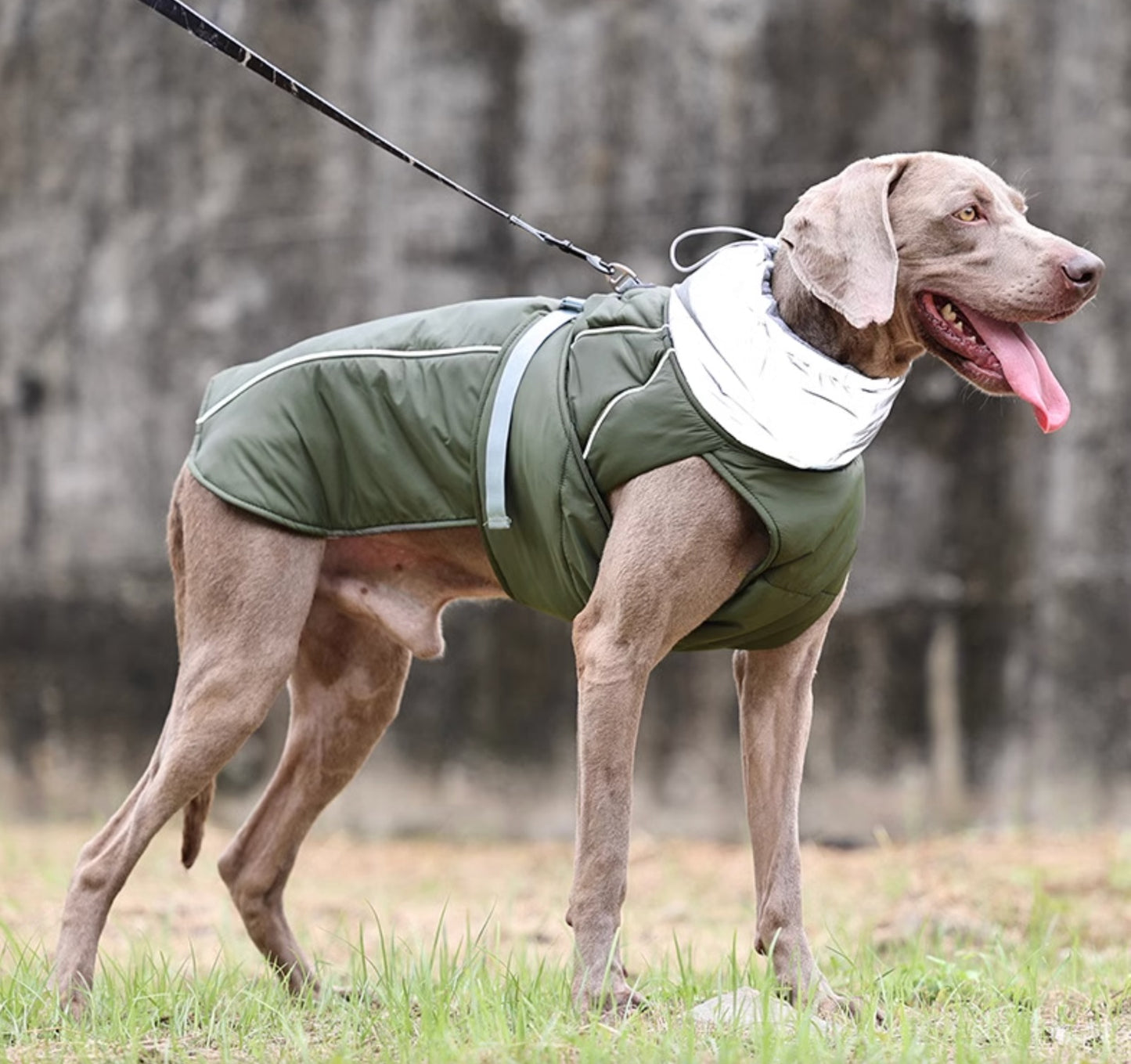 Hunde Luxus Winterjacke